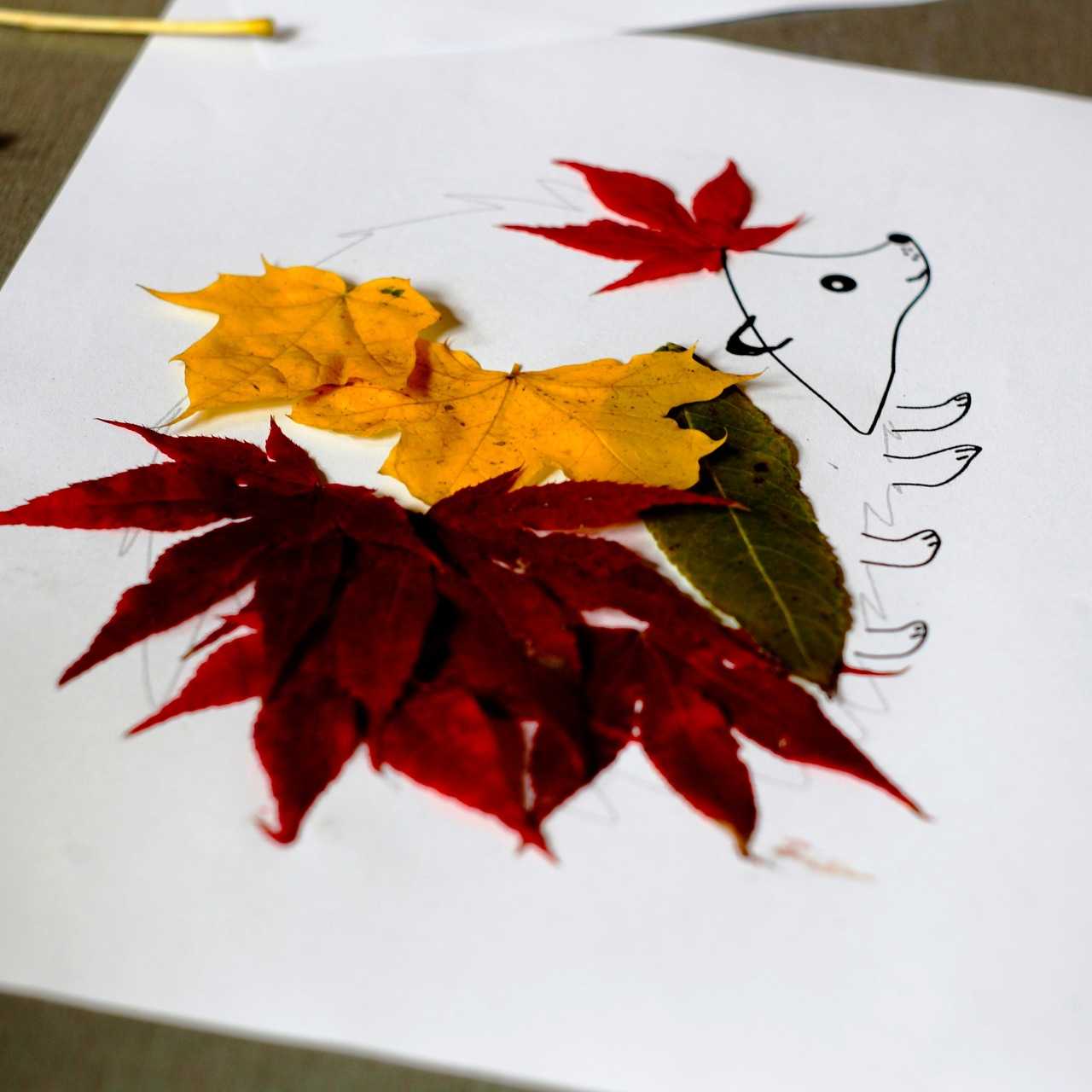 Autumn Animals  Image