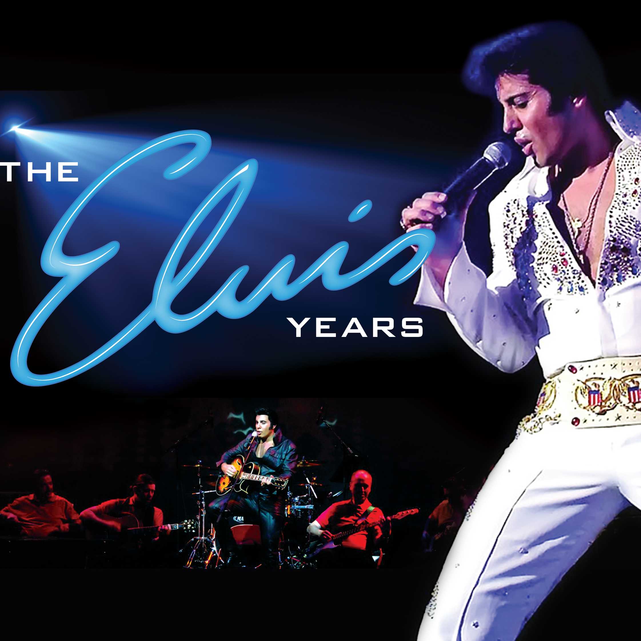 The Elvis Years  Image