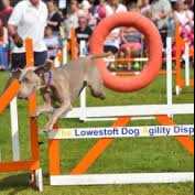 Lowestoft Summer Festival - Royal Green Dog Show Image