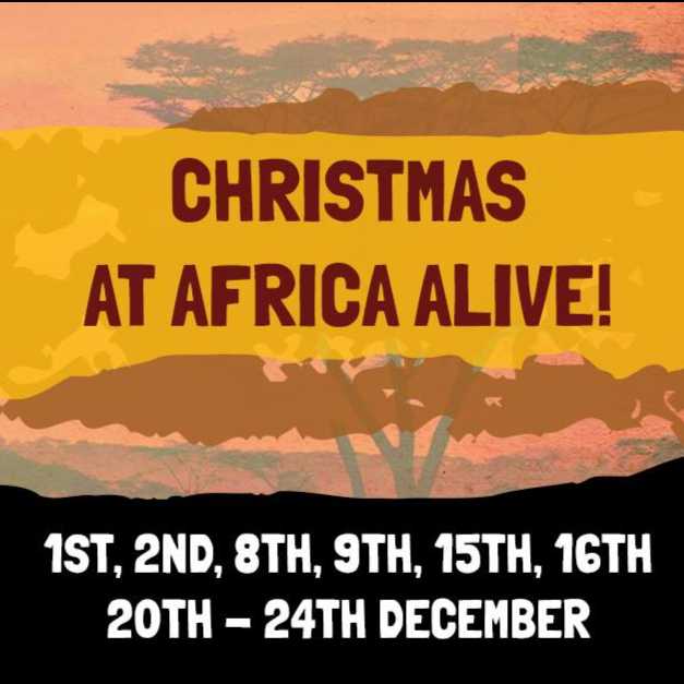 Christmas At Africa Alive  Image 2