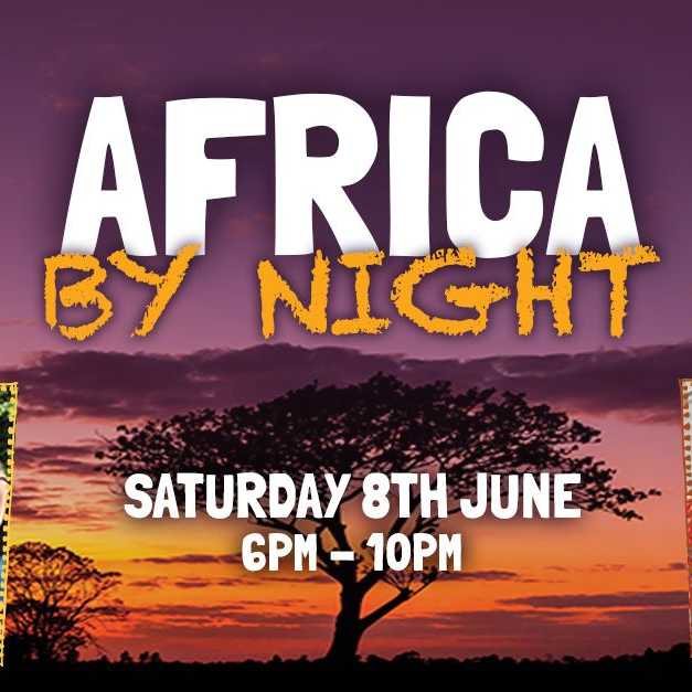 Africa by night  Image