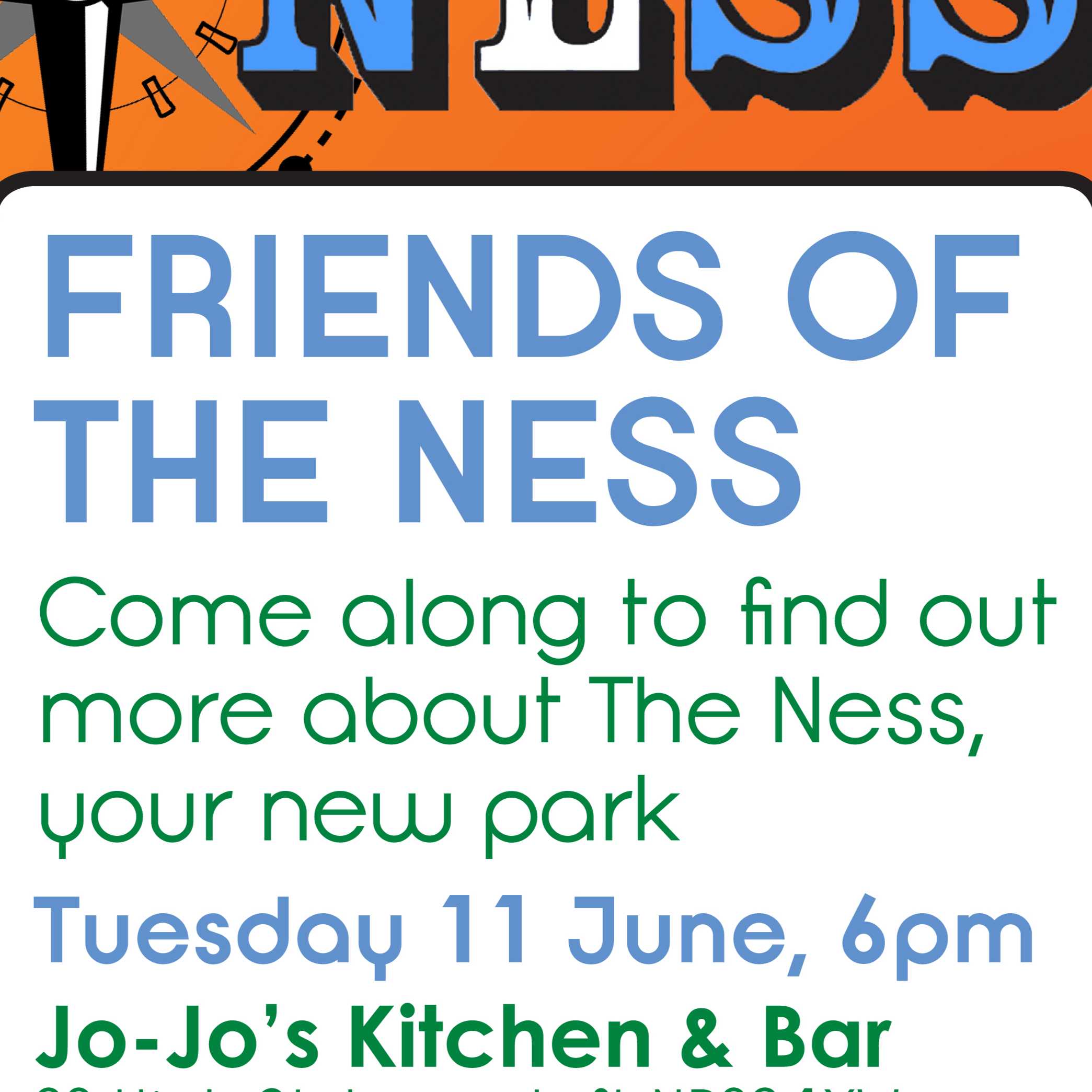 Friends Of The Ness Image 2