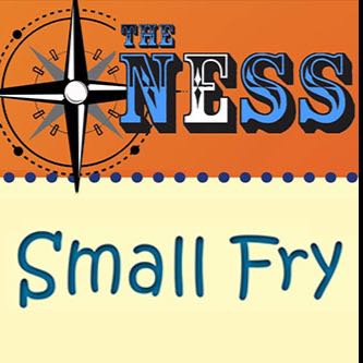 The Ness - Small Fry Image 2
