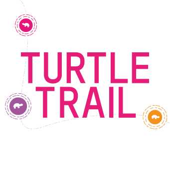 Lowestoft Turtle Trail Image