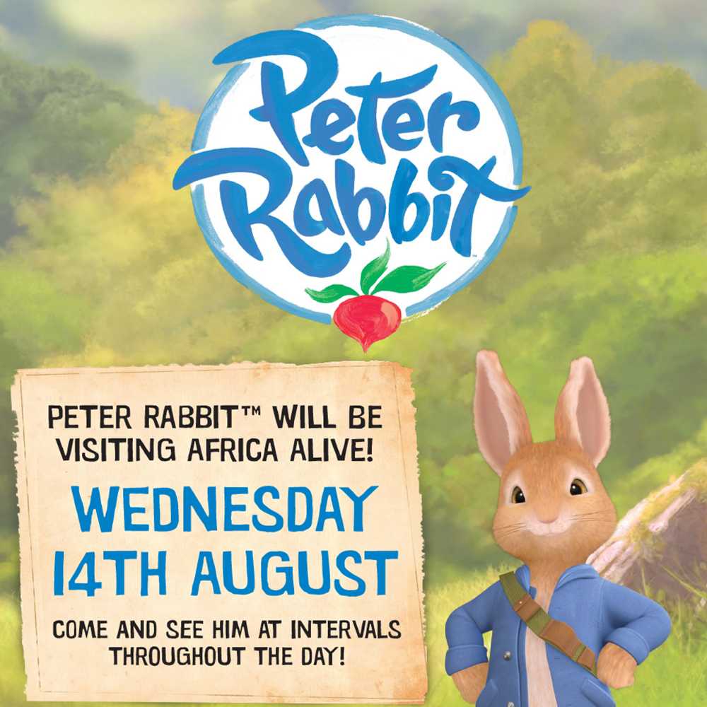 Peter Rabbit visits Africa Alive  Image